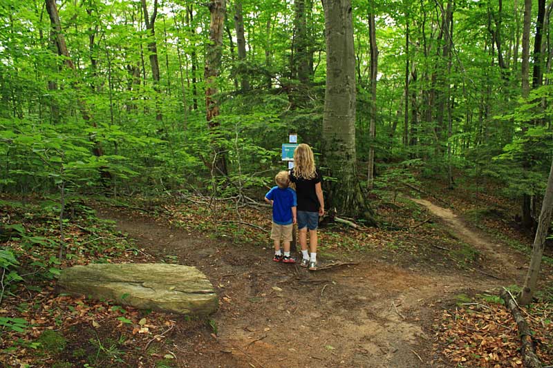 green point dunes trail junction